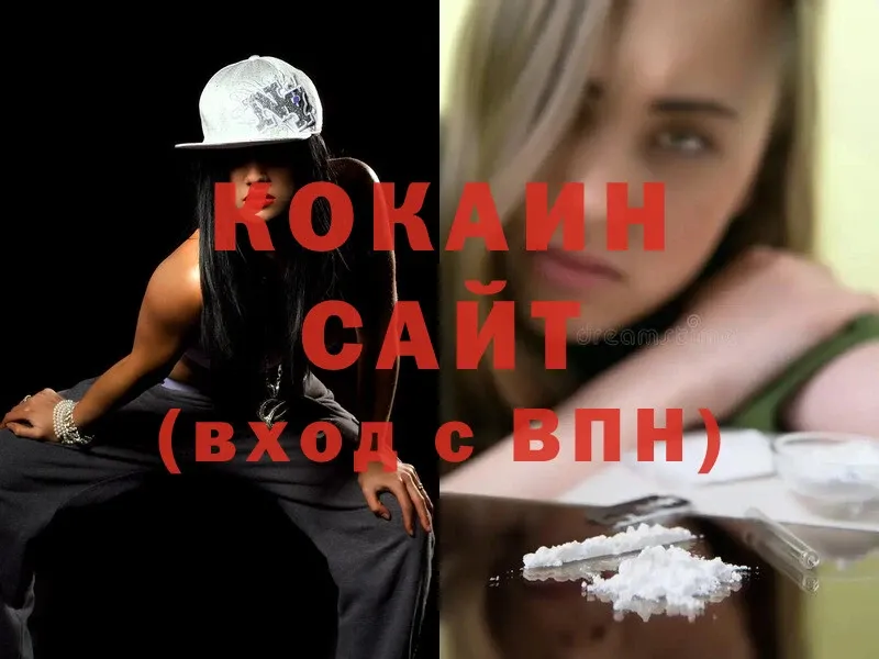 mega зеркало  Поворино  COCAIN FishScale  где найти  