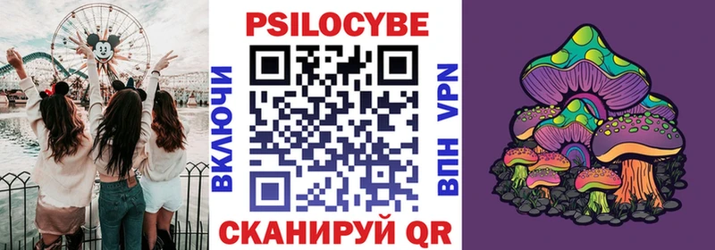 Псилоцибиновые грибы Magic Shrooms  купить закладку  Поворино 